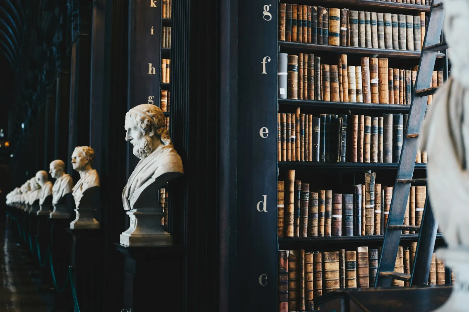 Bibliothèque de droit avec bustes et rayonnages anciens